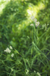 Similar image 21509456