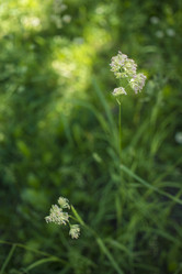 Similar image 21509464