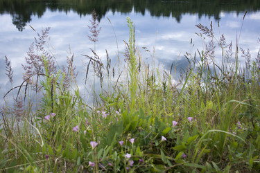 Similar image 21509465