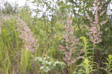 Similar image 21509469