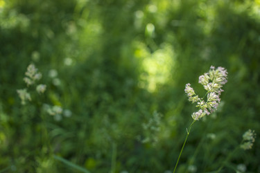 Similar image 21509470