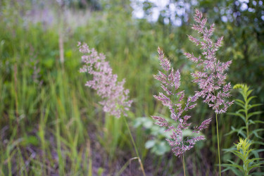 Similar image 21509471