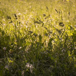 Similar image 21509478