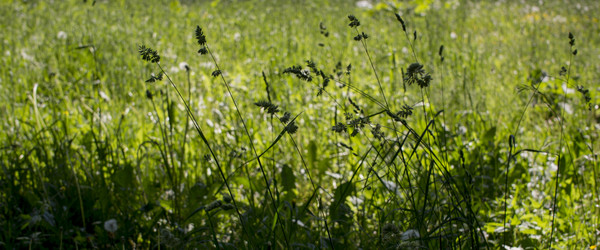 Similar image 21509481