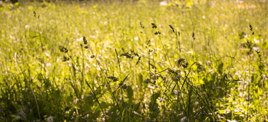 Similar image 21509312