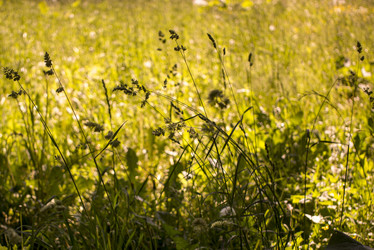 Similar image 21509313