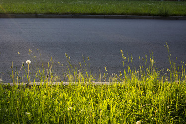 Similar image 21509314