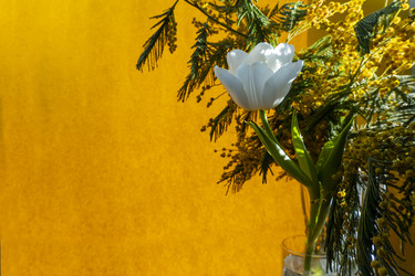 Similar image 21509318