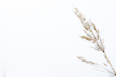 Similar image 21509321