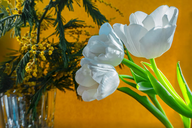 Similar image 21509322