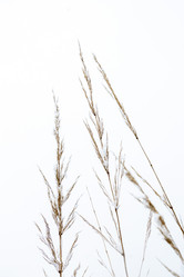 Similar image 21509324