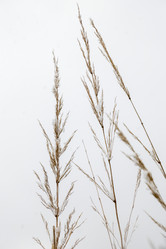 Similar image 21509325