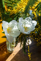 Similar image 21509326