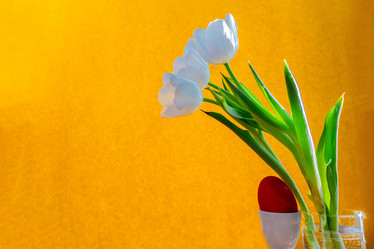 Similar image 21509336