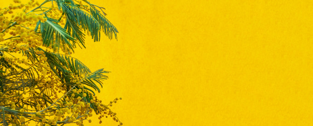 Similar image 21509338