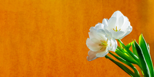 Similar image 21509344