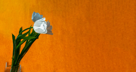 Similar image 21509347