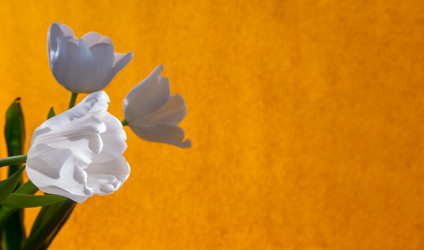 Similar image 21509352