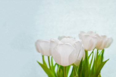 Similar image 21509353