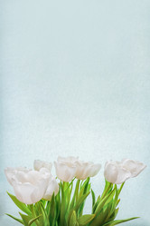 Similar image 21509483