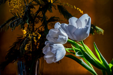 Similar image 21509484