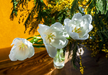 Similar image 21509487