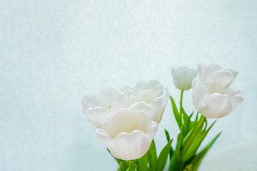 Similar image 21509490