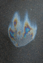 Similar image 21509491