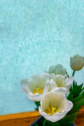 Similar image 21509492