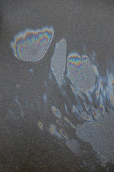 Similar image 21509493