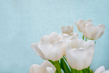 Similar image 21509495