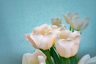 Similar image 21509497