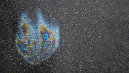 Similar image 21509498