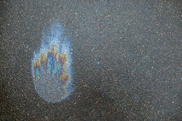 Similar image 21509500