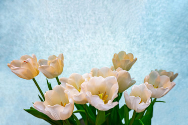 Similar image 21509501