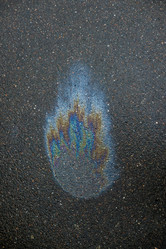 Similar image 21509502