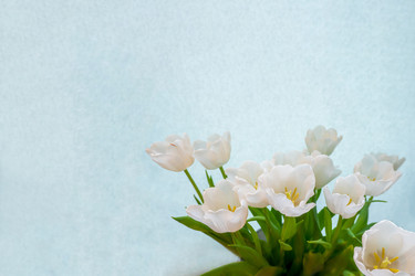 Similar image 21509503