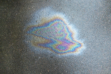 Similar image 21509504