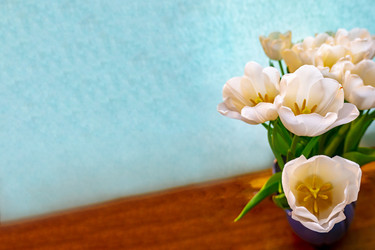 Similar image 21509512