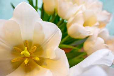 Similar image 21509514