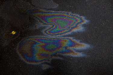 Similar image 21509515