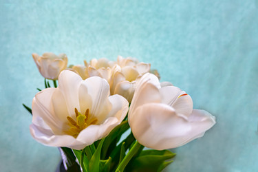 Similar image 21509520