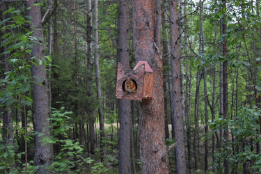 Similar image 21508735