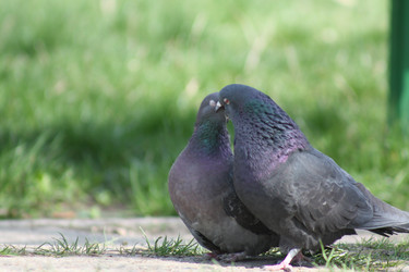 Similar image 21510388