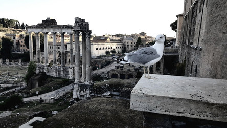 Similar image 21510389