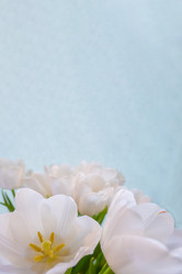 Similar image 21509522