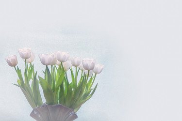 Similar image 21509530