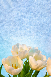 Similar image 21509540