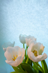 Similar image 21509542