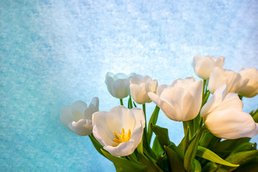 Similar image 21509548